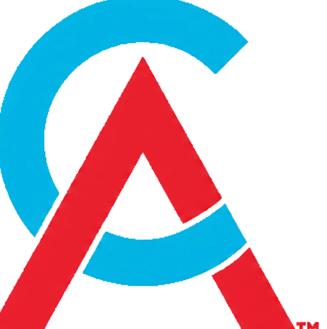 Chartered Accountant